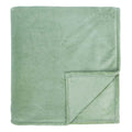 Sage Green Plush Bed Blanket