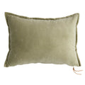 Elm Velvet Cotton Throw Pillow, 14x20