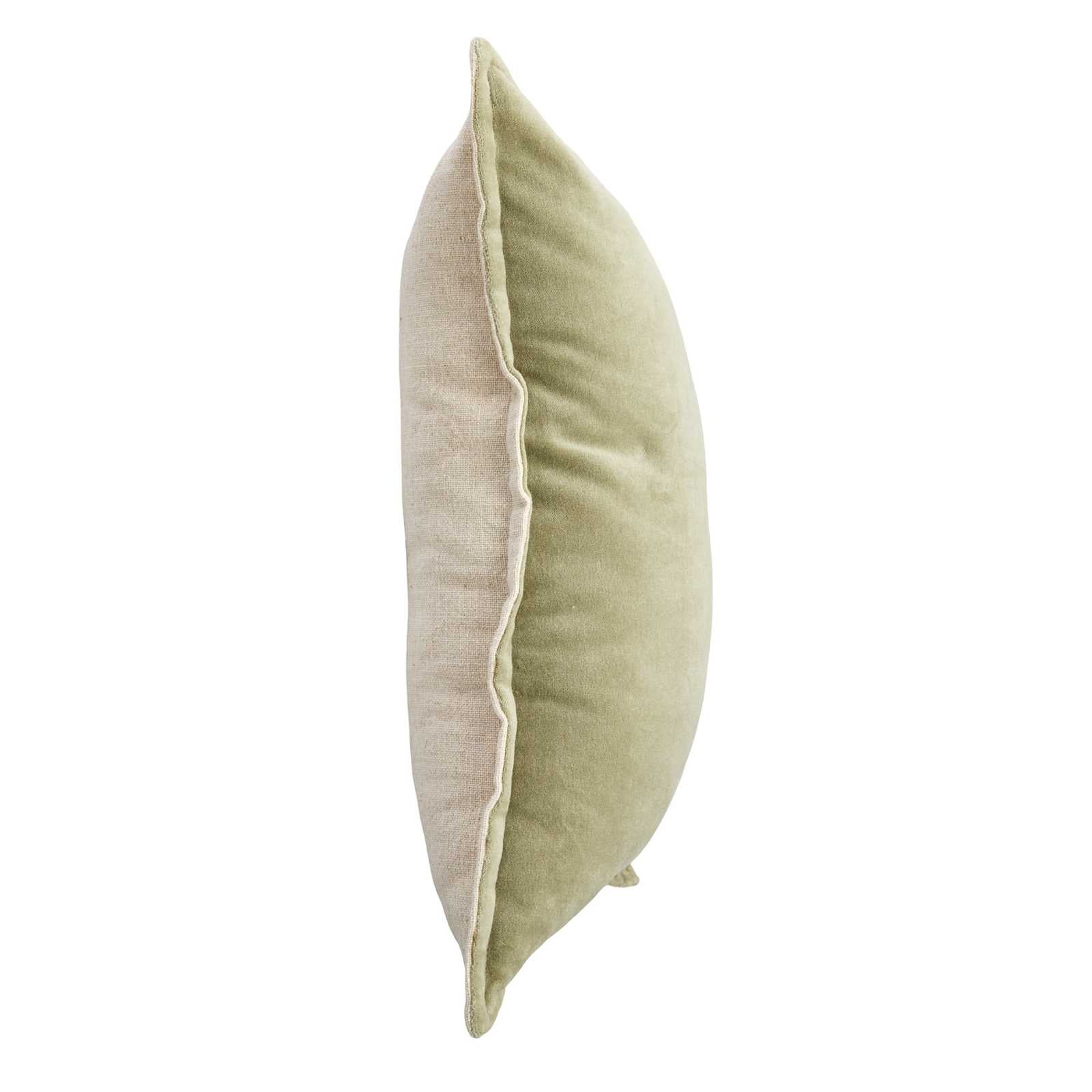 Elm Velvet Cotton Throw Pillow, 14x20