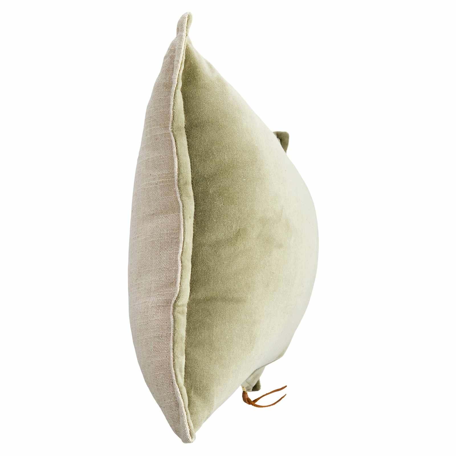 Elm Velvet Cotton Throw Pillow, 14x20